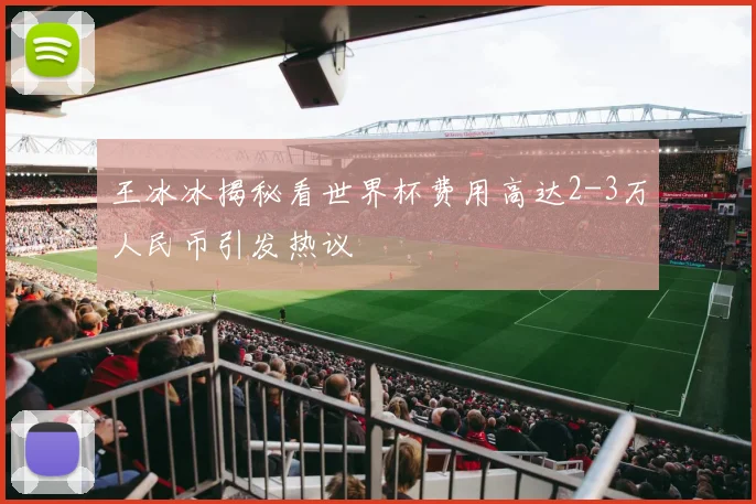 王冰冰揭秘看世界杯费用高达2-3万人民币引发热议